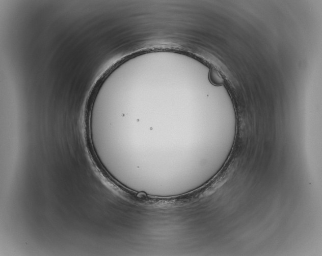 X0000111141038200907141317