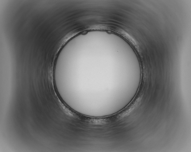 X0000111141041200907141317