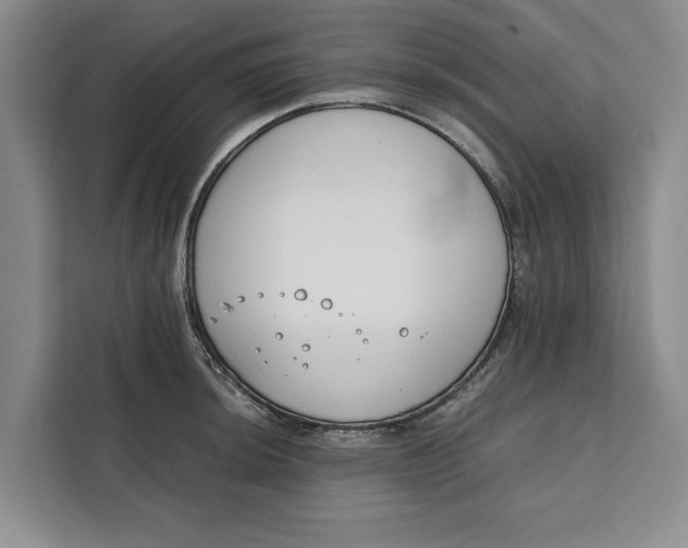 X0000111141044200907141317