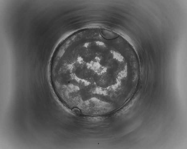 X0000111141045200907141317