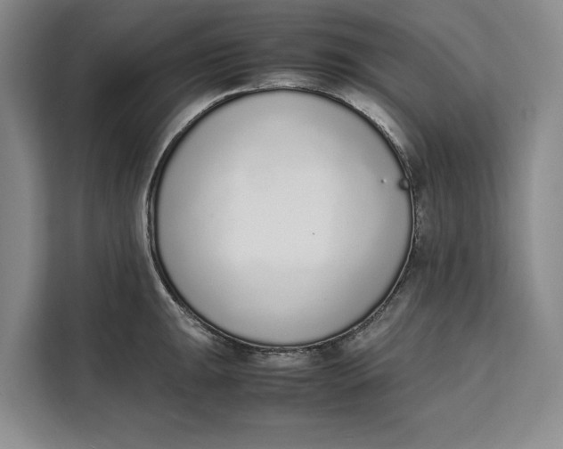 X0000111141047200907141317