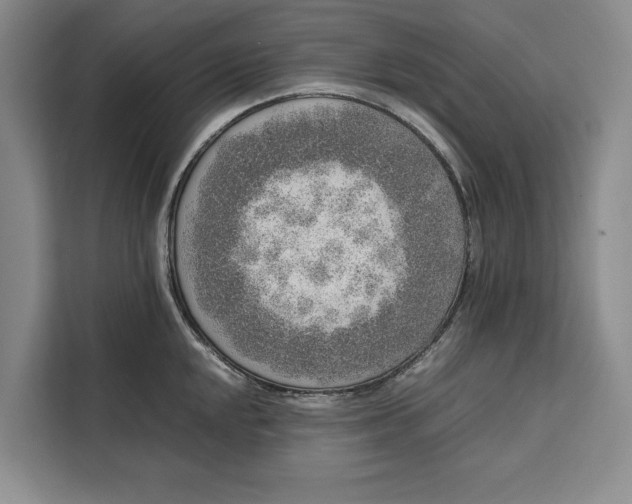 X0000111141048200907141317