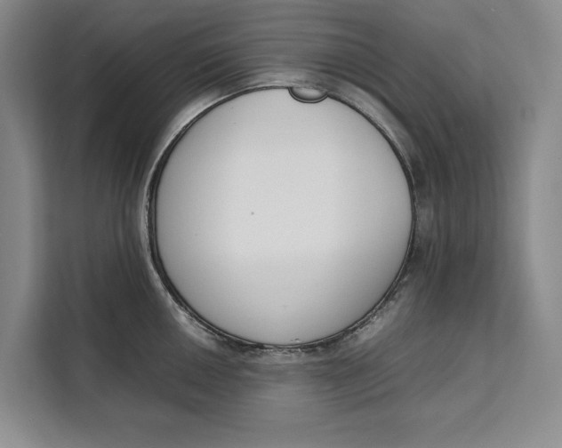 X0000111141050200907141317