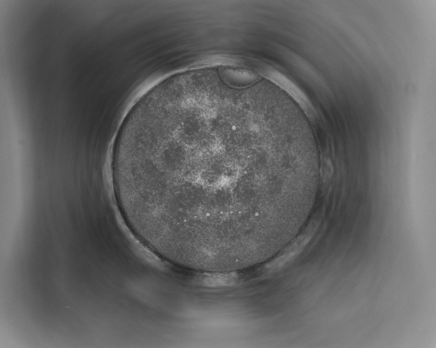 X0000111141055200907141317