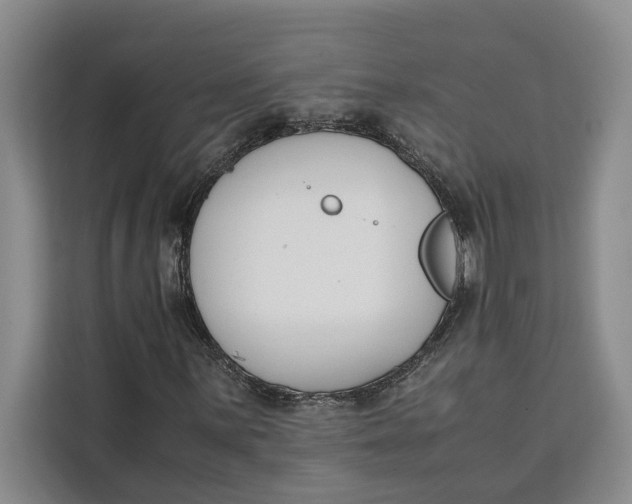 X0000111141059200907141317