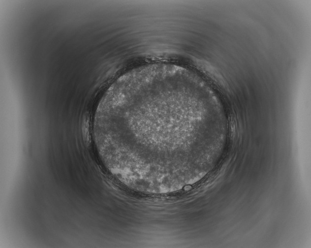 X0000111141060200907141317