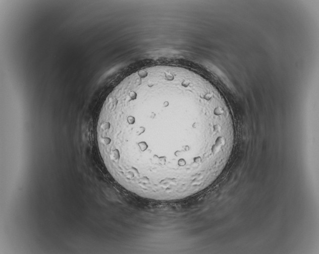 X0000111141063200907141317