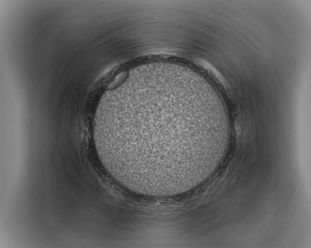 X0000111141064200907141317