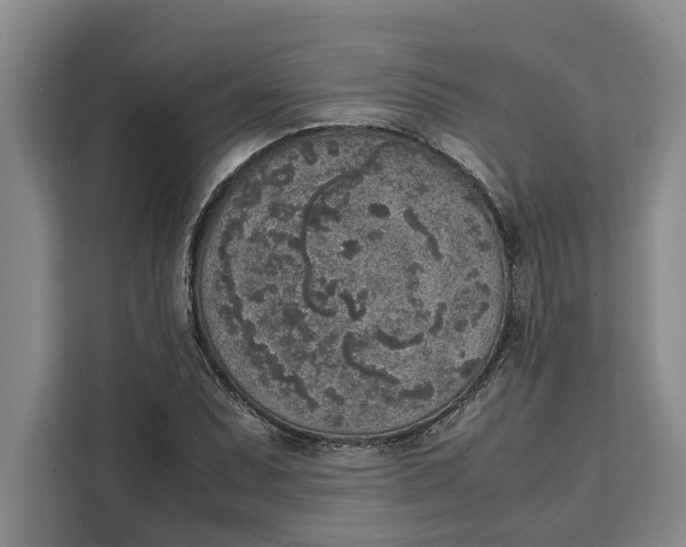 X0000111141071200907141317