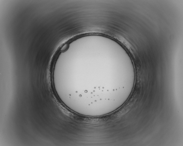 X0000111141072200907141317