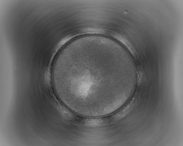 X0000111141074200907141317