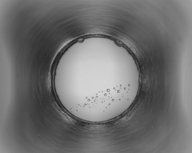 X0000111141076200907141317