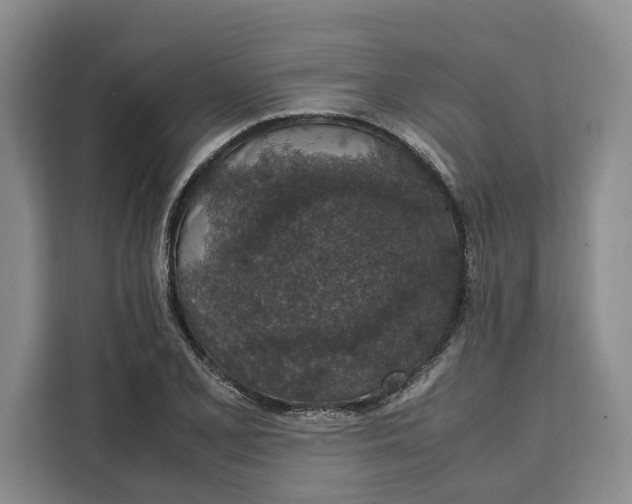 X0000111141077200907141317