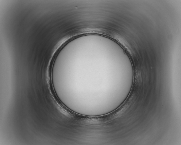 X0000111141082200907141317