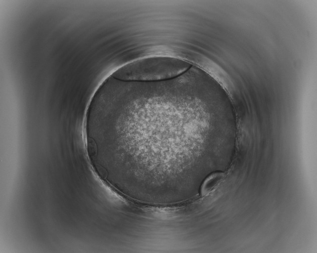 X0000111141084200907141317