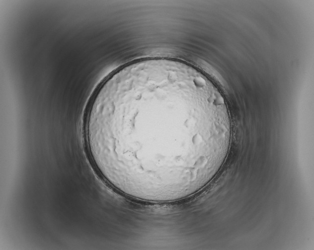 X0000111141087200907141316