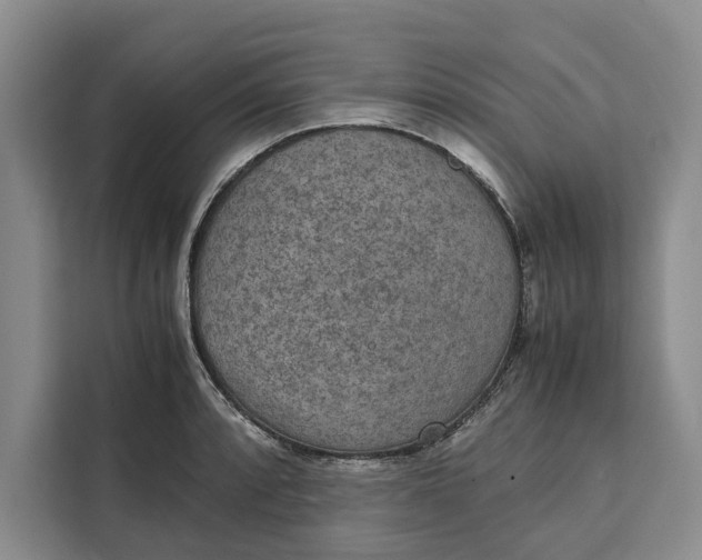 X0000111141088200907141316