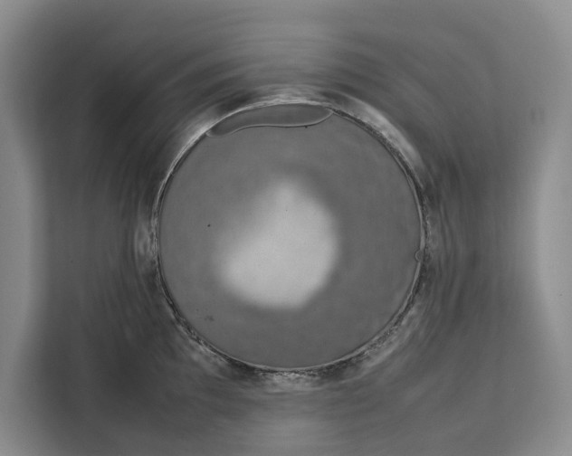 X0000111141097200907141316