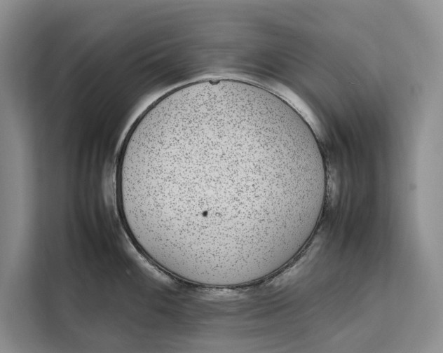 X0000111141100200907141316