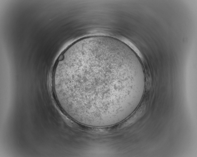 X0000111141101200907141316