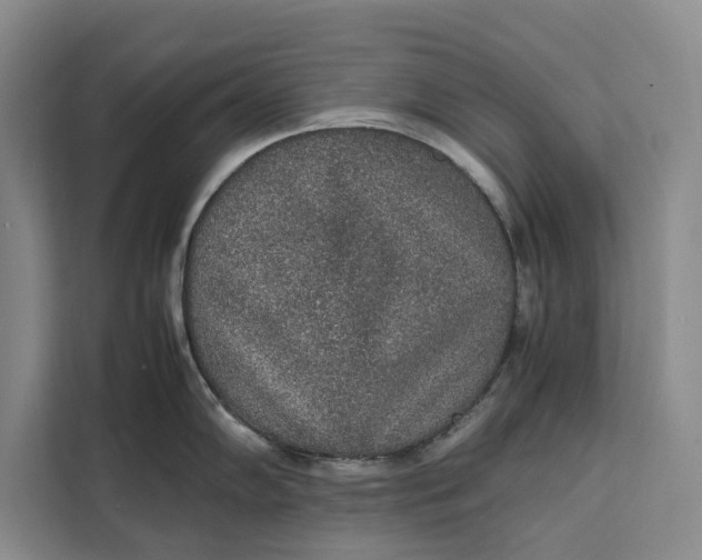 X0000111141102200907141316