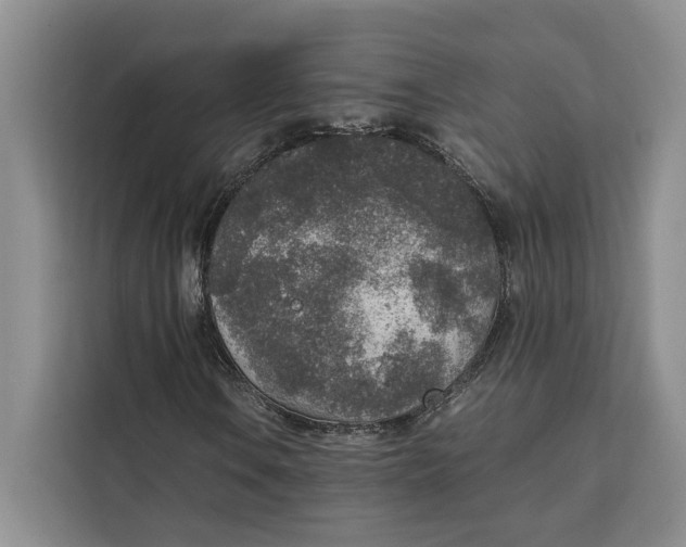 X0000111141106200907141316