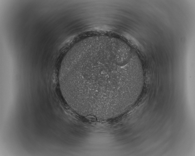 X0000111141110200907141316