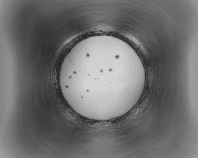 X0000111141112200907141316