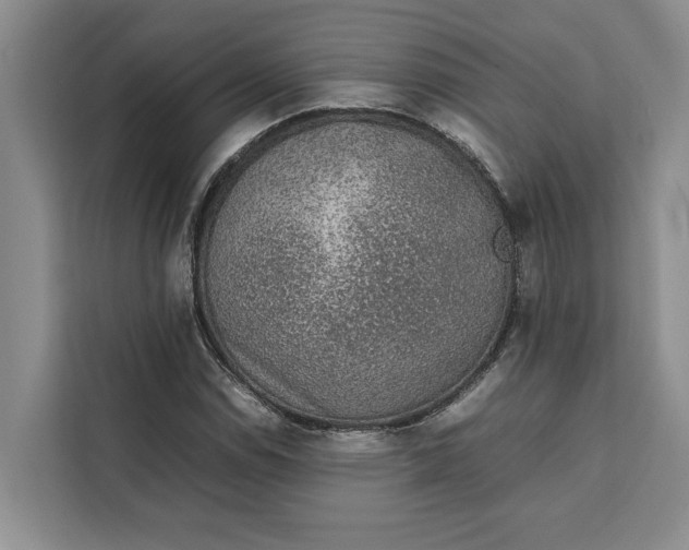 X0000111141114200907141316