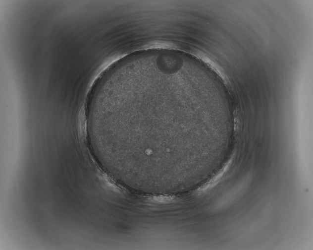 X0000111141117200907141316