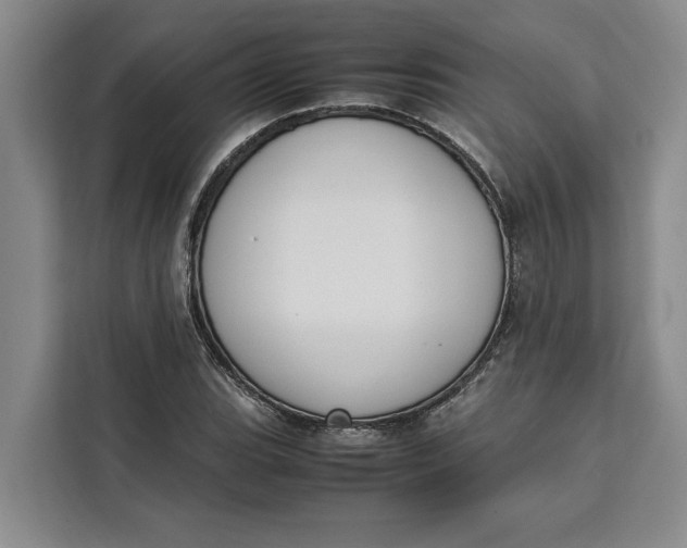 X0000111141119200907141316