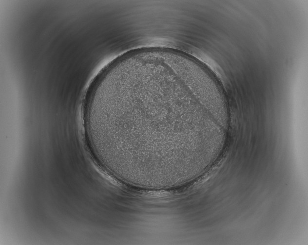 X0000111141120200907141316