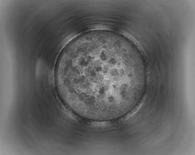 X0000111141121200907141316