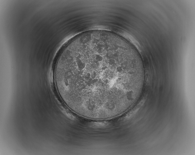 X0000111141125200907141316