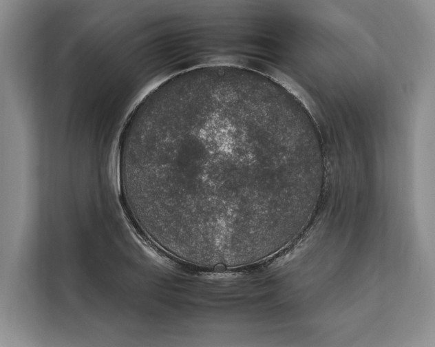 X0000111141127200907141316