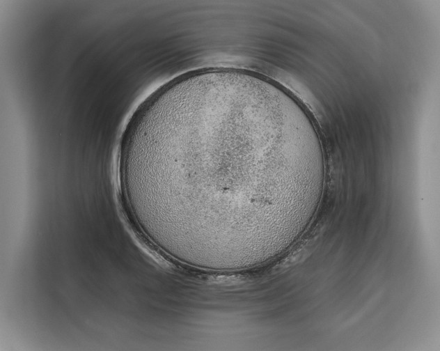 X0000111141128200907141316