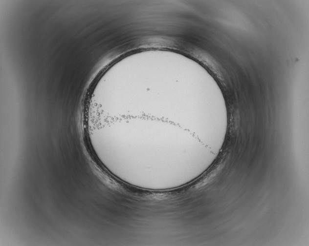 X0000111141130200907141316