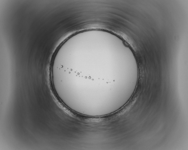 X0000111141134200907141316