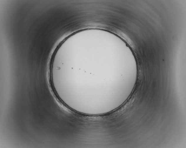 X0000111141136200907141316