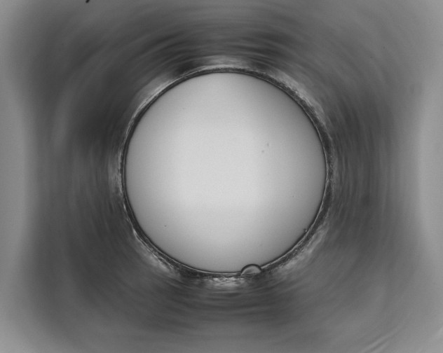 X0000111141137200907141316