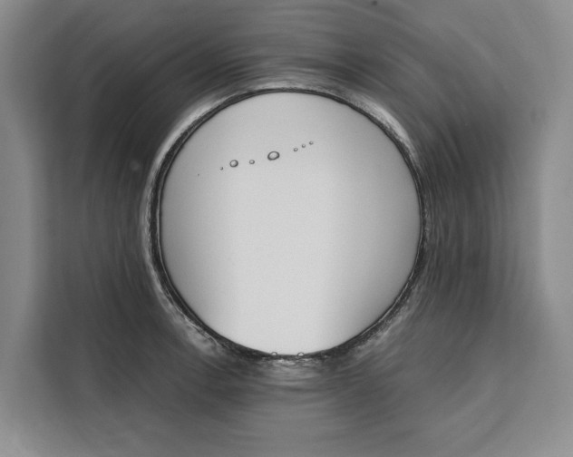 X0000111141138200907141316