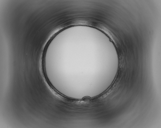 X0000111141139200907141316