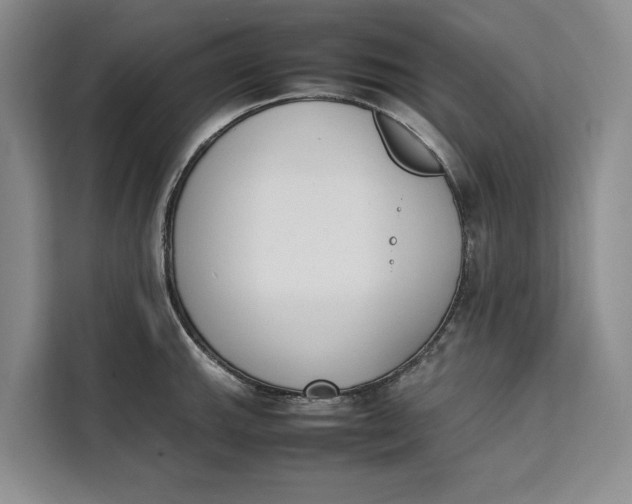 X0000111141143200907141316