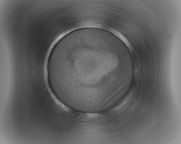 X0000111141144200907141316