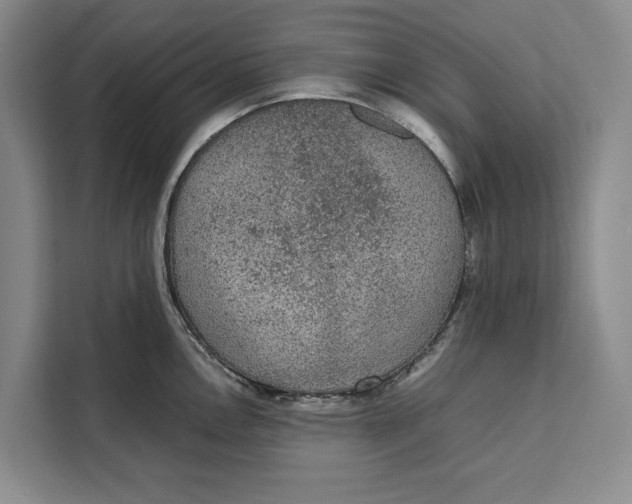 X0000111141146200907141316