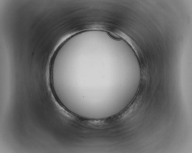 X0000111141147200907141316