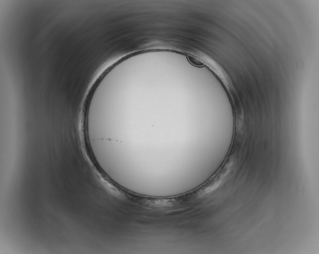 X0000111141149200907141316