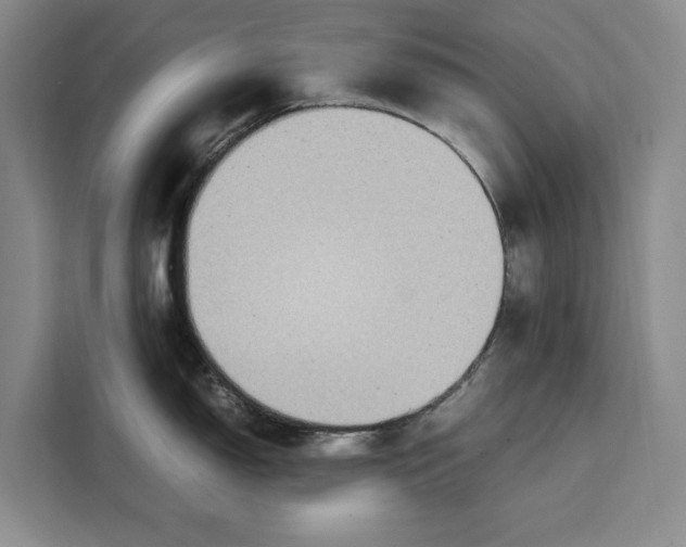 X0000111141150200907141316