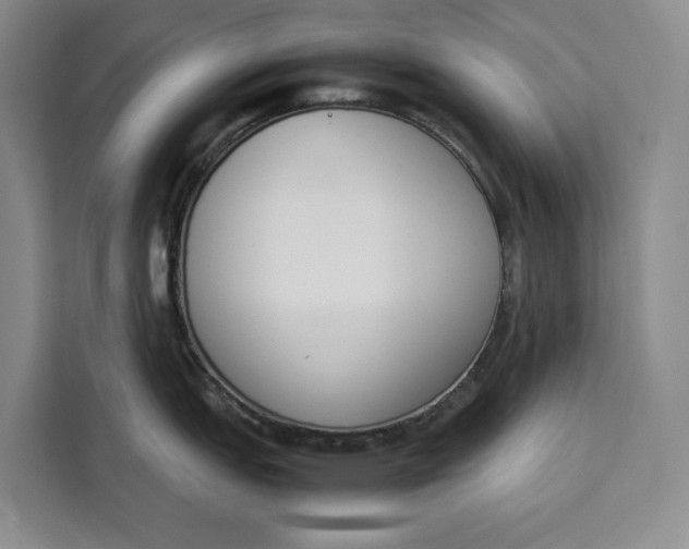 X0000111141151200907141316