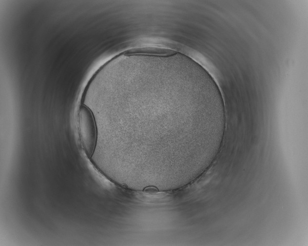 X0000111141152200907141316